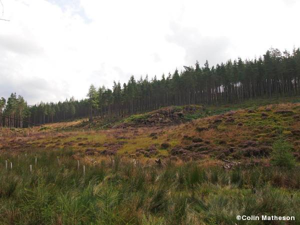 Balfour crags