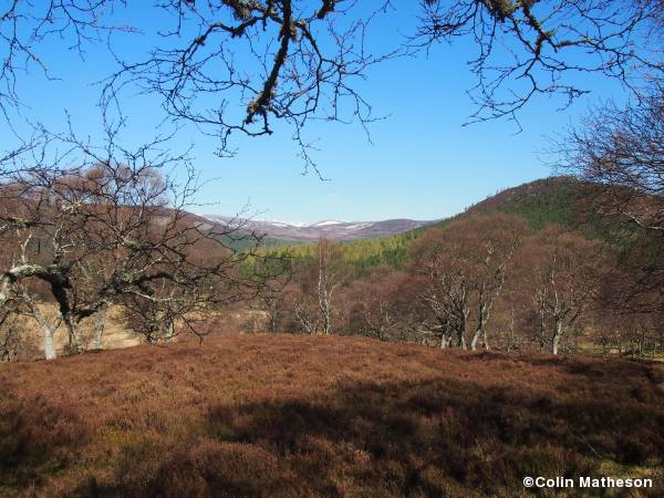 Creag Choinnich