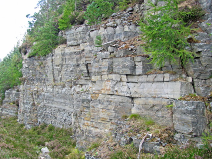 Typical outcrop of quartzite near Braemar, showing original layers that existed in the sandstone parent rock prior to metamorphism.