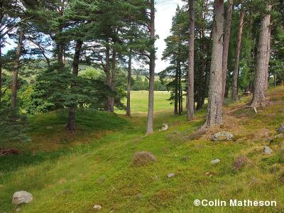 Glen Tanar race arena