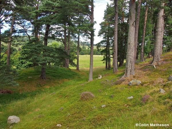 Glen Tanar race arena